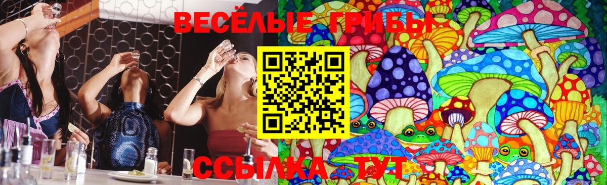 Галлюциногенные грибы MAGIC MUSHROOMS  Вход с VPN  Галлюциногенные грибы Psilocybe  Новошахтинск 