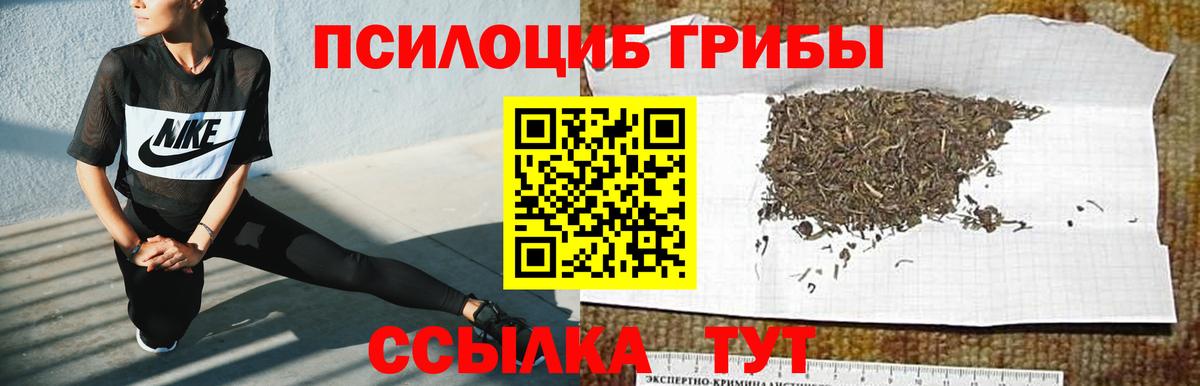 Псилоцибиновые грибы ЛСД Новошахтинск